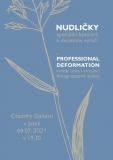 9. 7. 2021 19.30 NUDLIČKY a PROFESSIONAL DEFORMATION